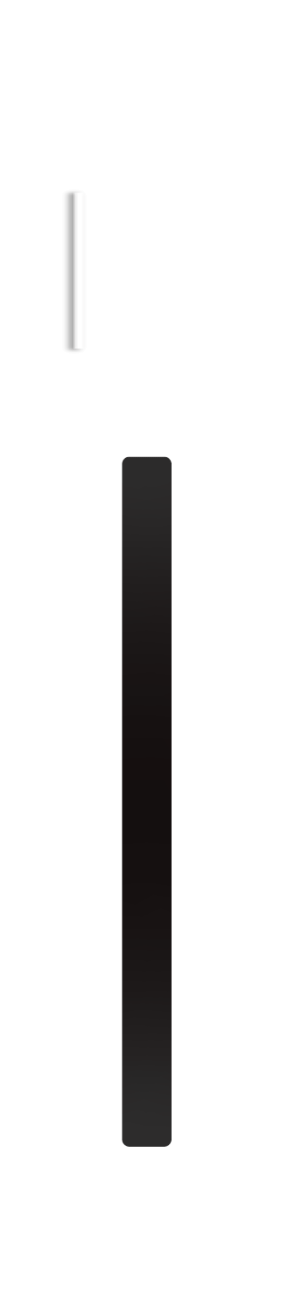 lateral-view-5.gif